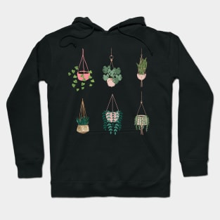 Hanging Planters For Pot Head Hoodie